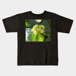 Hortensia flowers photo Kids T-Shirt